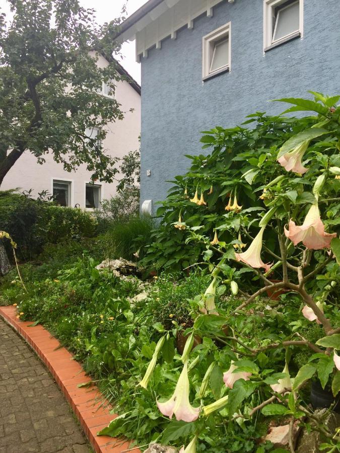 Blaues Haus Apartment Niederdorfelden Luaran gambar